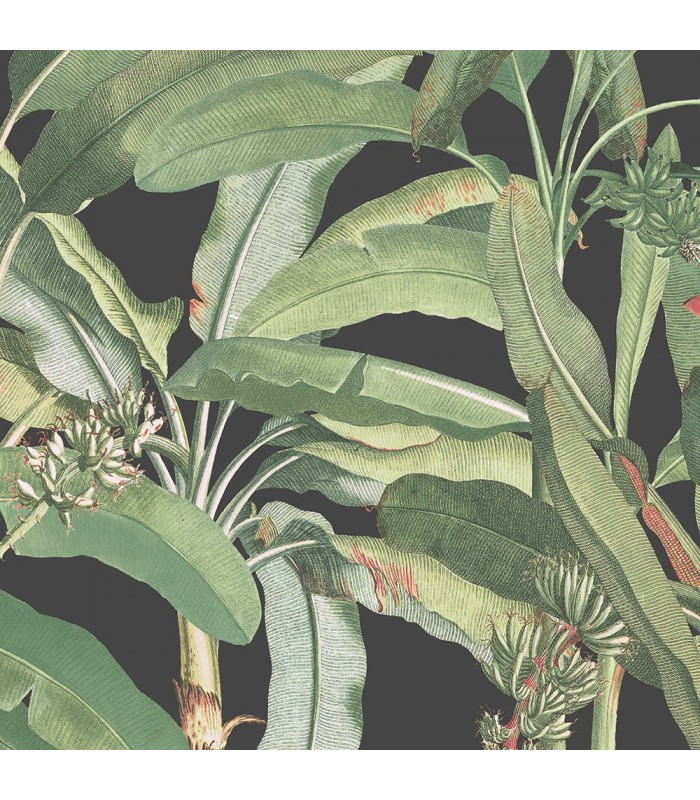 MH36535 - Manor House Wallpaper by Norwall-Tropical Banana Plant MH36535 - Manor House Wallpaper by Norwall-Tropical Banana Plant